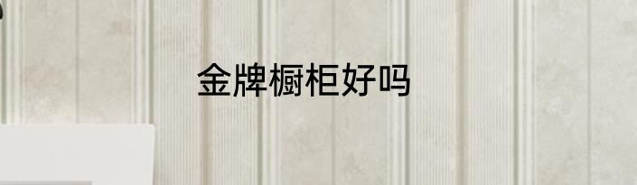 金牌橱柜好吗