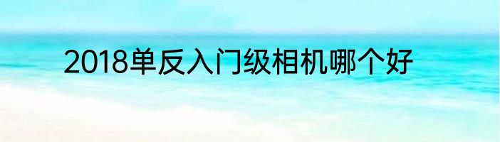 2018单反入门级相机哪个好