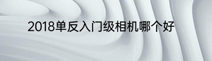 2018单反入门级相机哪个好