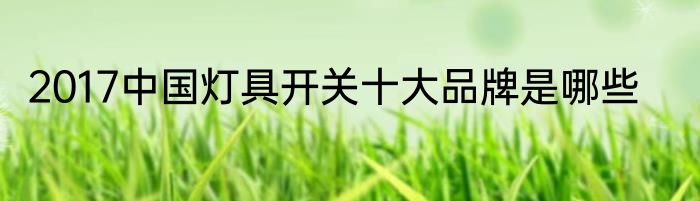 2017中国灯具开关十大品牌是哪些