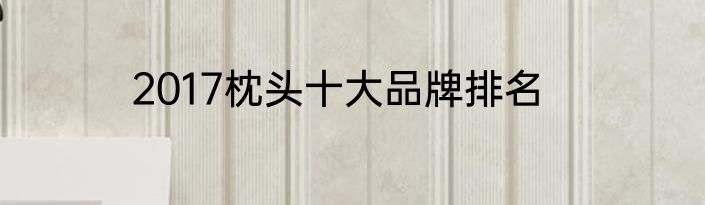 2017枕头十大品牌排名