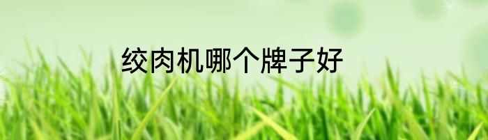 绞肉机哪个牌子好