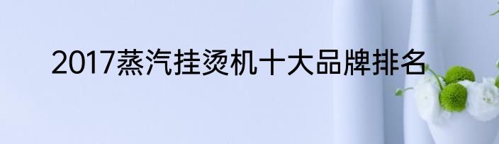 2017蒸汽挂烫机十大品牌排名