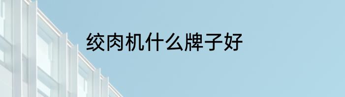 绞肉机什么牌子好