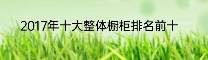 2017年十大整体橱柜排名前十