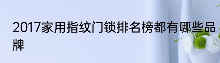 2017家用指纹门锁排名榜都有哪些品牌