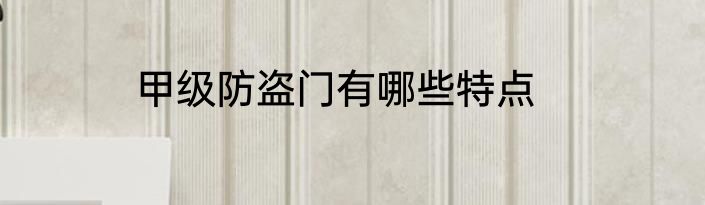 甲级防盗门有哪些特点
