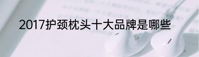 2017护颈枕头十大品牌是哪些