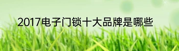 2017电子门锁十大品牌是哪些