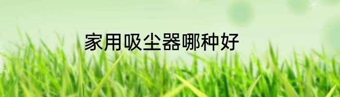 家用吸尘器哪种好