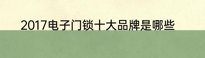 2017电子门锁十大品牌是哪些