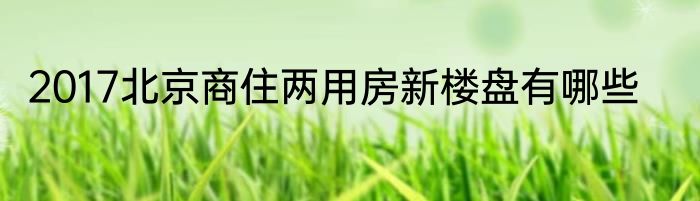 2017北京商住两用房新楼盘有哪些