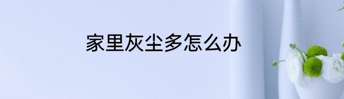 家里灰尘多怎么办
