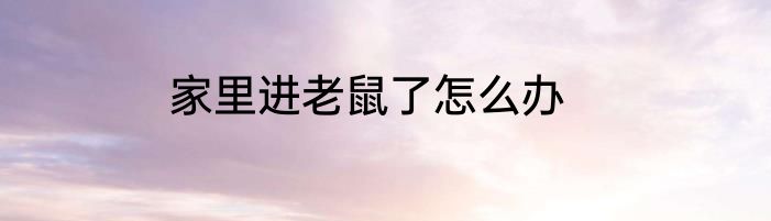 家里进老鼠了怎么办