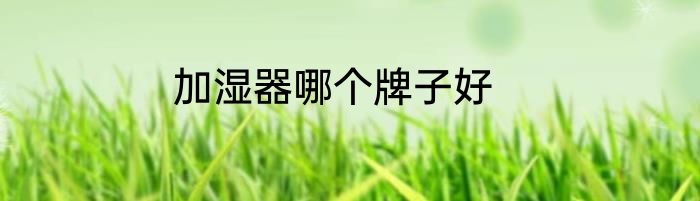 加湿器哪个牌子好