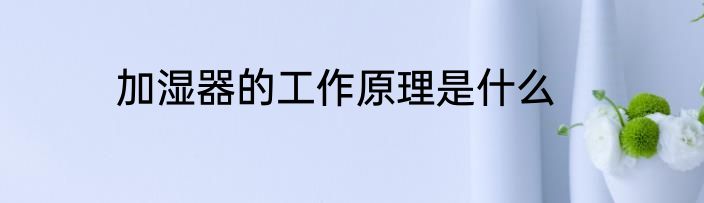 加湿器的工作原理是什么