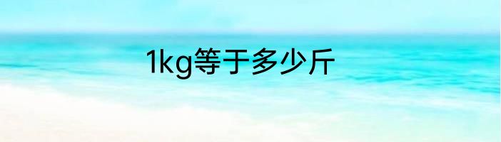 1kg等于多少斤