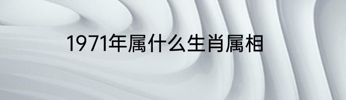 1971年属什么生肖属相