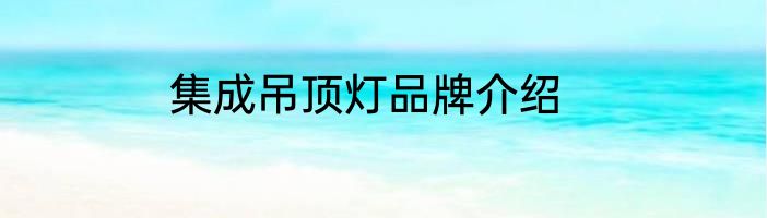 集成吊顶灯品牌介绍