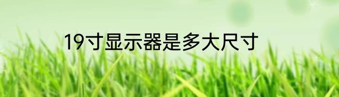 19寸显示器是多大尺寸