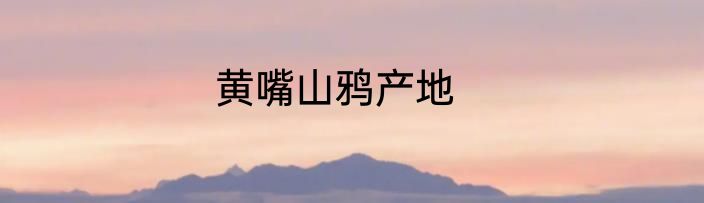 黄嘴山鸦产地