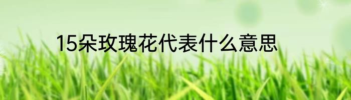 15朵玫瑰花代表什么意思