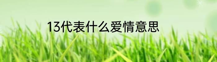 13代表什么爱情意思