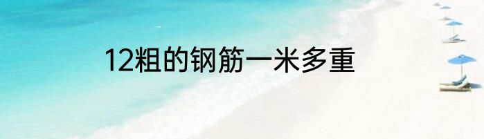 12粗的钢筋一米多重