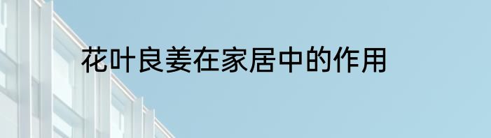 花叶良姜在家居中的作用