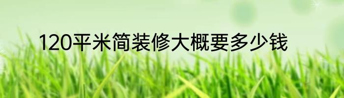 120平米简装修大概要多少钱