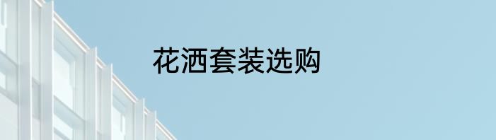 花洒套装选购