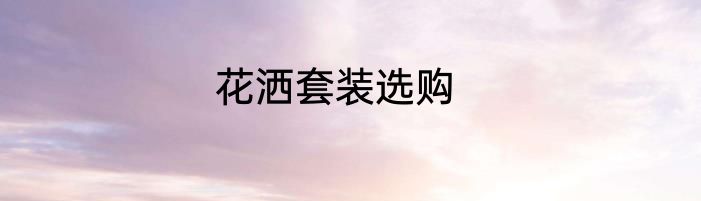 花洒套装选购