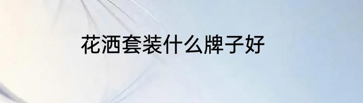 花洒套装什么牌子好