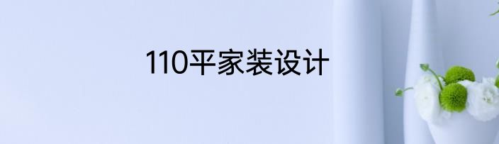 110平家装设计