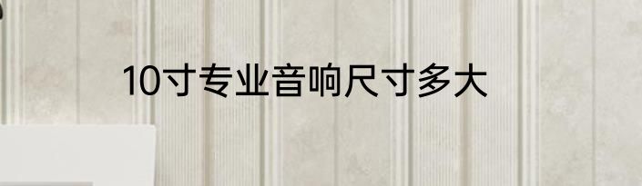 10寸专业音响尺寸多大