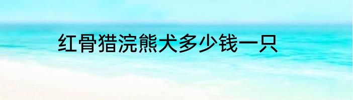 红骨猎浣熊犬多少钱一只