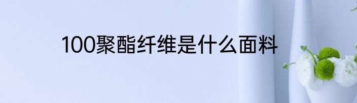 100聚酯纤维是什么面料
