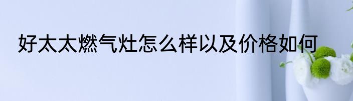 好太太燃气灶怎么样以及价格如何