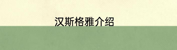 汉斯格雅介绍