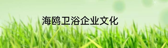 海鸥卫浴企业文化