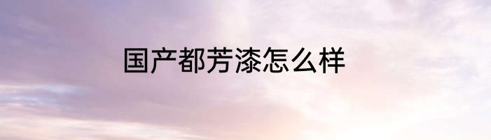 国产都芳漆怎么样