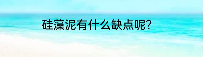 硅藻泥有什么缺点呢？