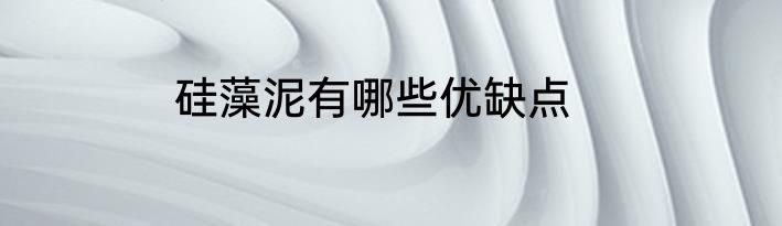硅藻泥有哪些优缺点