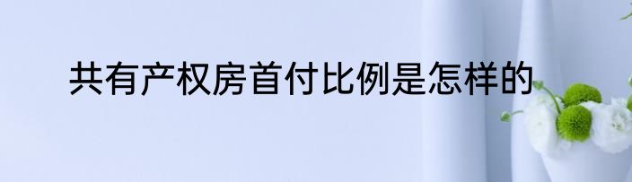 共有产权房首付比例是怎样的