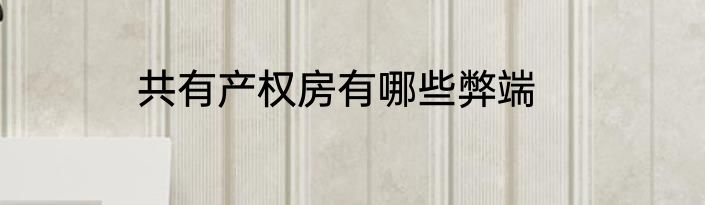 共有产权房有哪些弊端