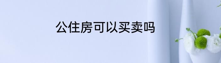 公住房可以买卖吗