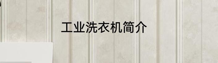 工业洗衣机简介