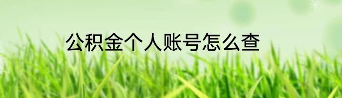 公积金个人账号怎么查