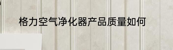 格力空气净化器产品质量如何
