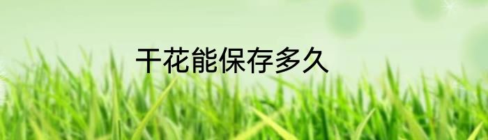 干花能保存多久